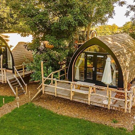 Boomhuis Met Optioneel Wellness - Vakantiepark De Schreiershoek Dokkum Zewnętrze zdjęcie