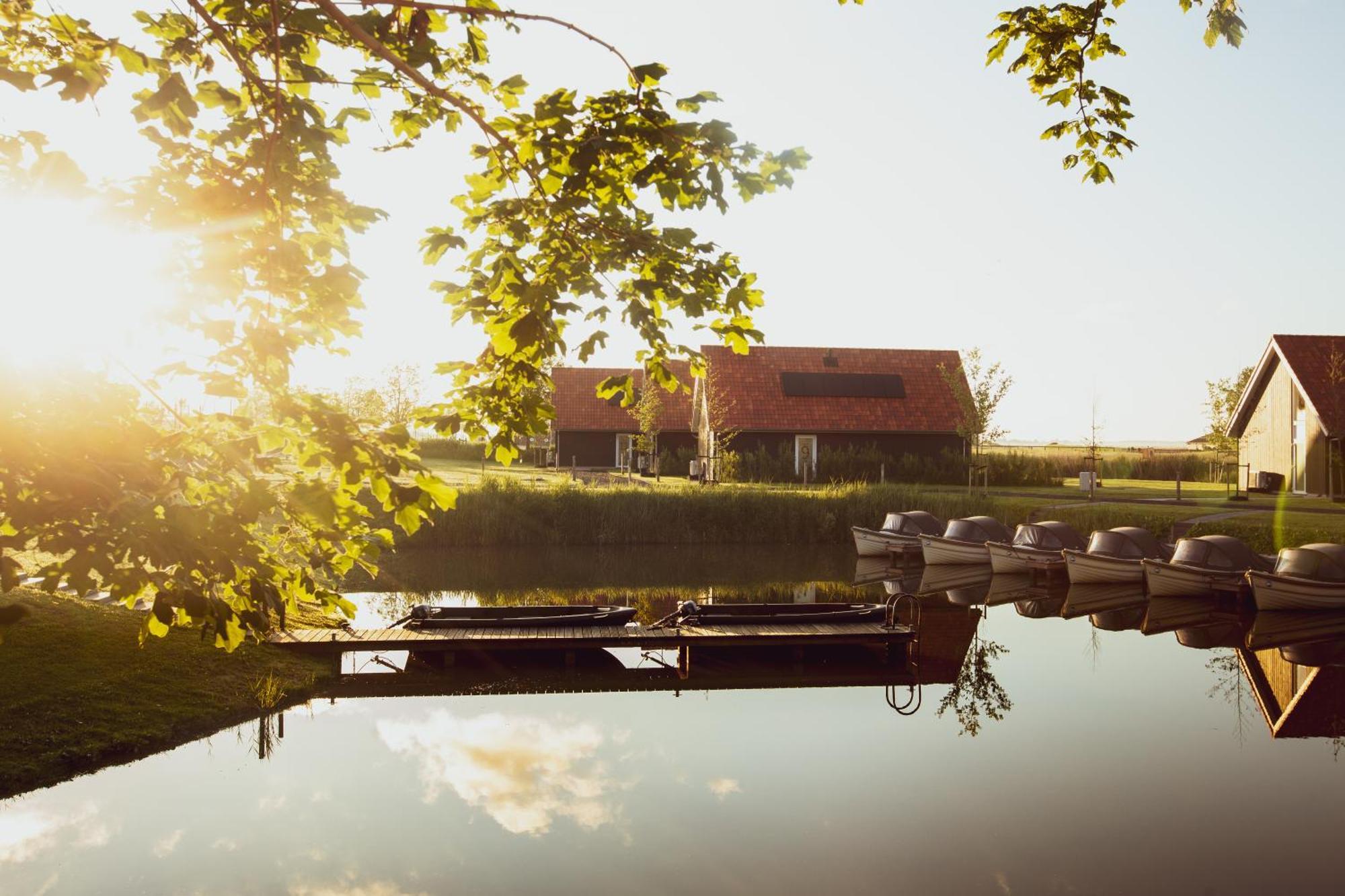 Boomhuis Met Optioneel Wellness - Vakantiepark De Schreiershoek Dokkum Zewnętrze zdjęcie