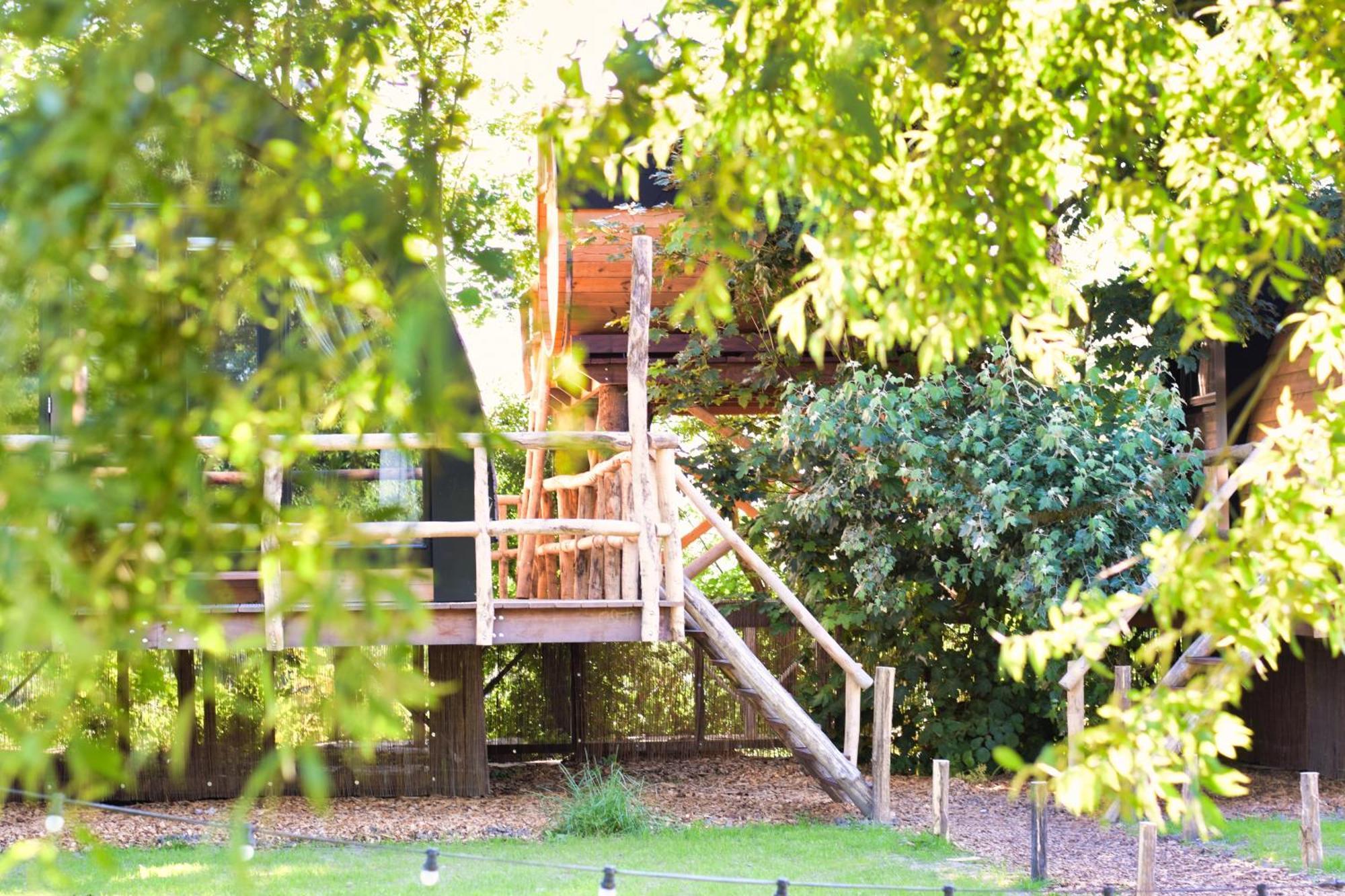 Boomhuis Met Optioneel Wellness - Vakantiepark De Schreiershoek Dokkum Zewnętrze zdjęcie