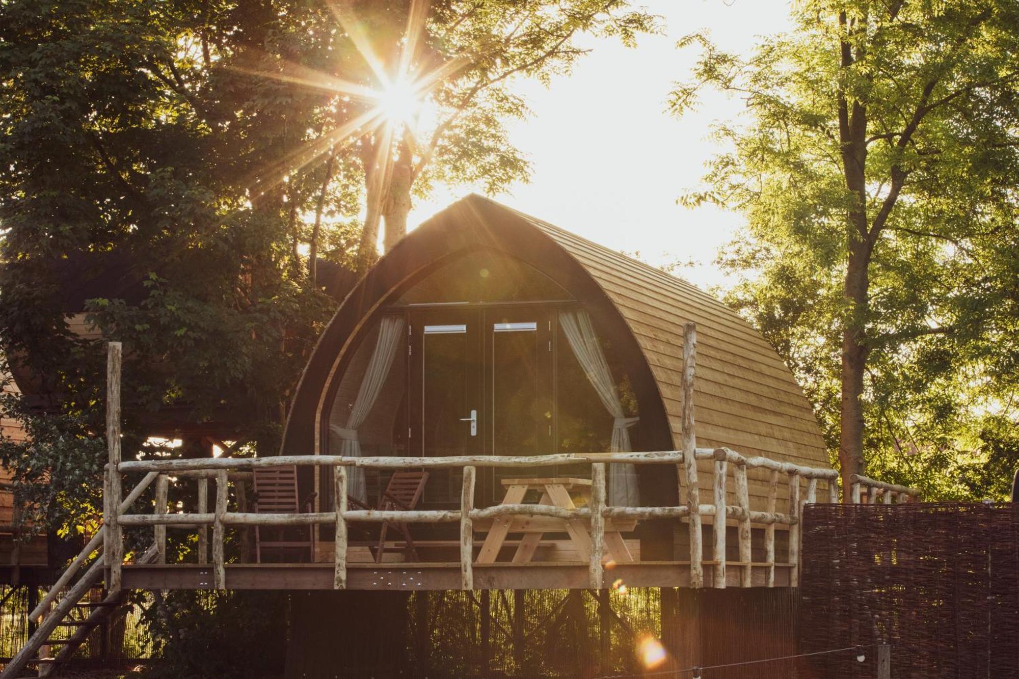 Boomhuis Met Optioneel Wellness - Vakantiepark De Schreiershoek Dokkum Zewnętrze zdjęcie