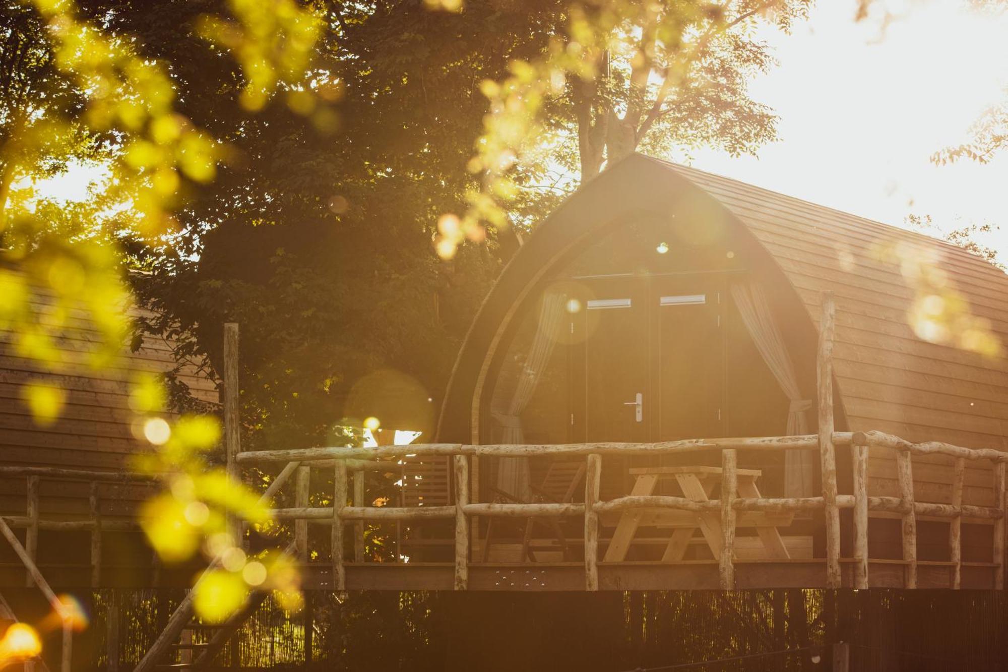 Boomhuis Met Optioneel Wellness - Vakantiepark De Schreiershoek Dokkum Zewnętrze zdjęcie